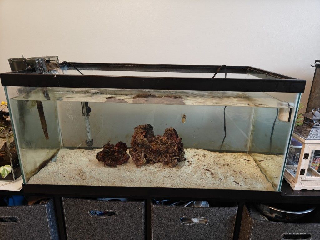 Complete 45-Gallon Trigger Saltwater Aquarium Setup – Ready to Go!