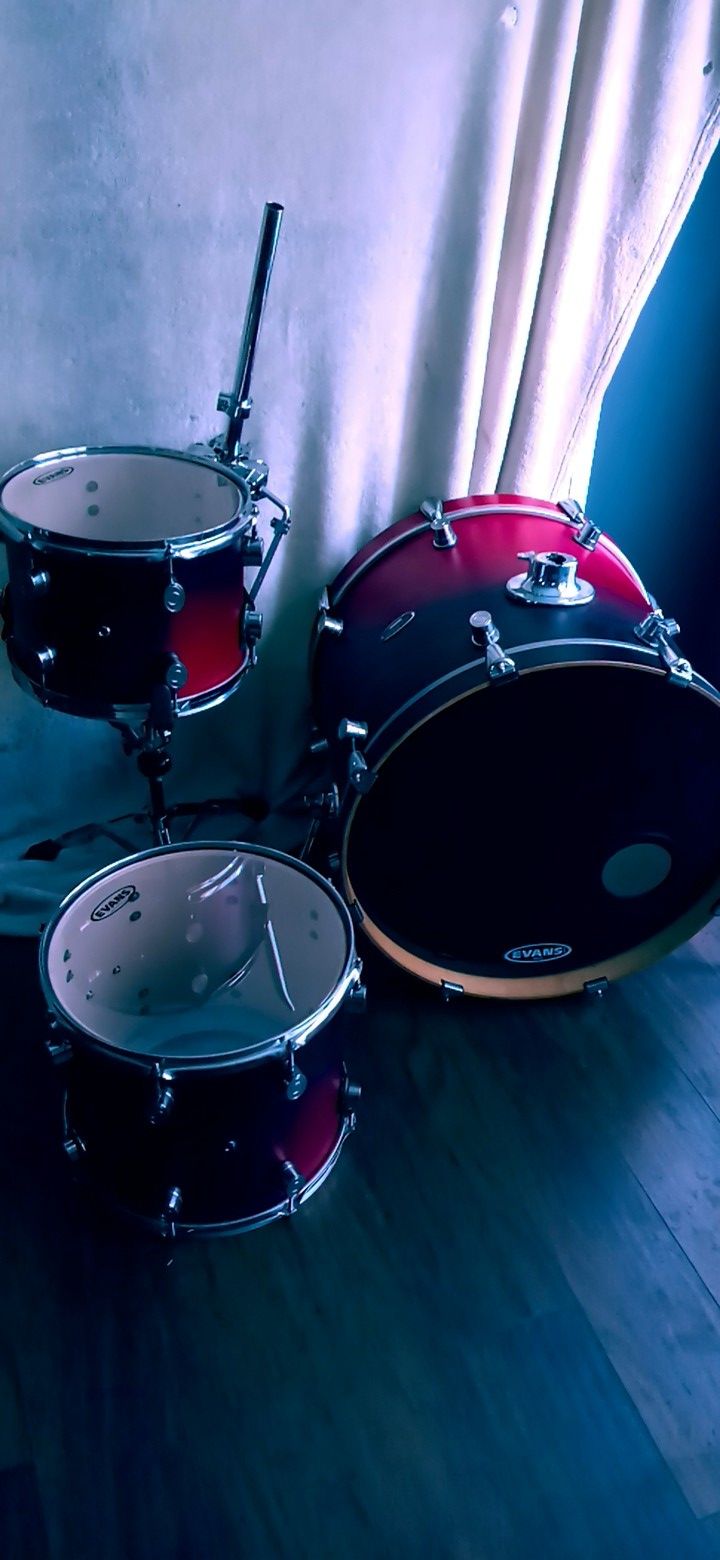 Evans drums