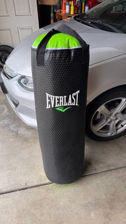 Everlast Heavy Punching Bag