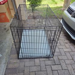 Large Dog Cage
