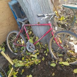 Bike (READ DESCRIPTION)