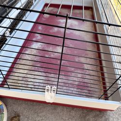 Guinea pig and rabbit cage