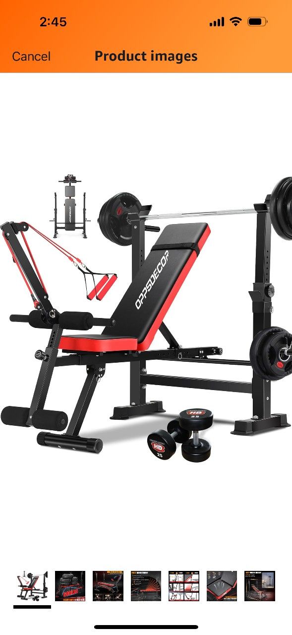 Workout Bench (Brand New)