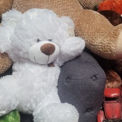 Bears For Sale 