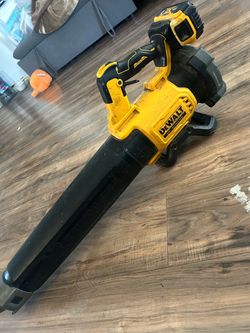 DeWALT air blower and battery combo