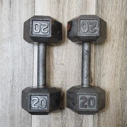 Dumbbells 20lbs A Pair