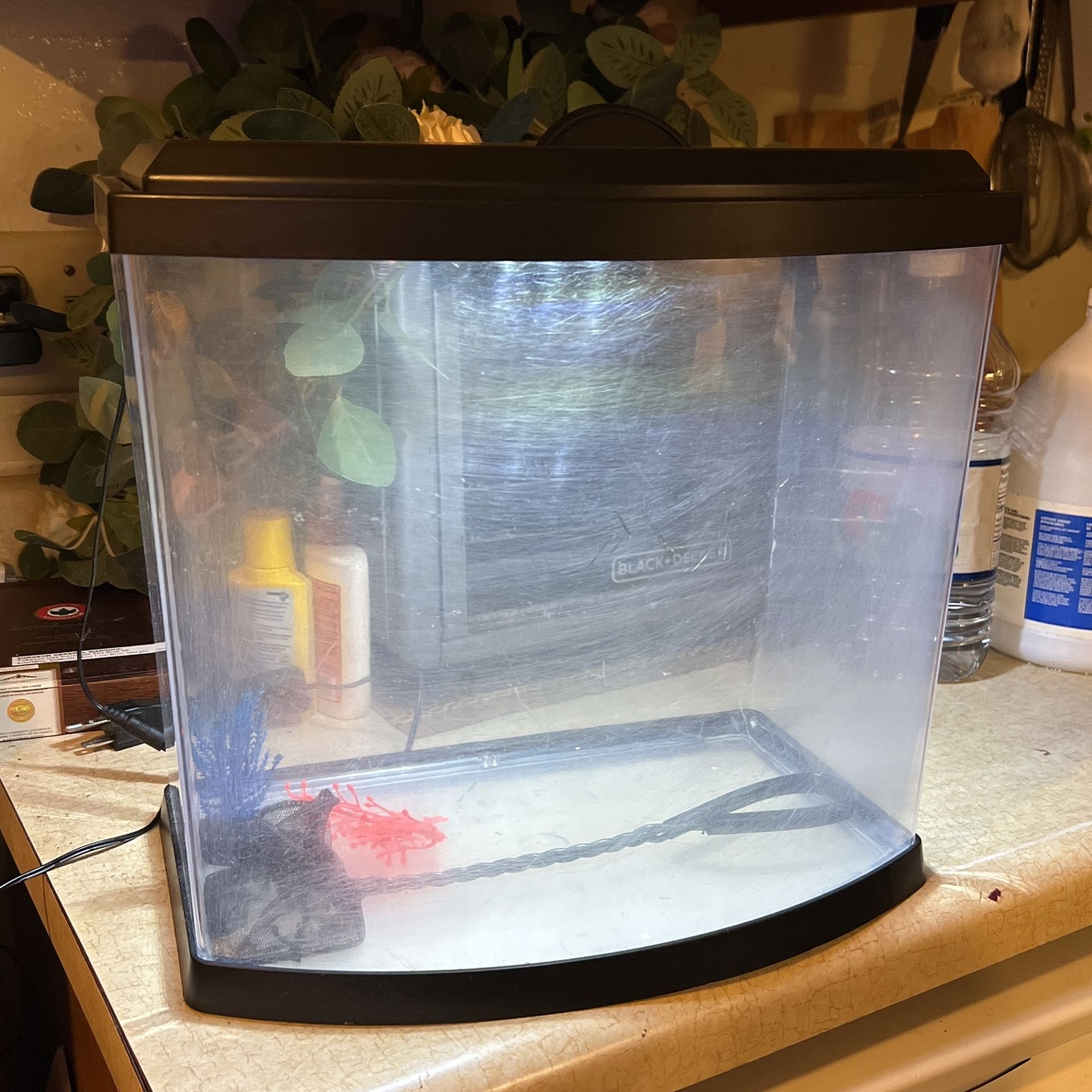 Fish Tank For Fee