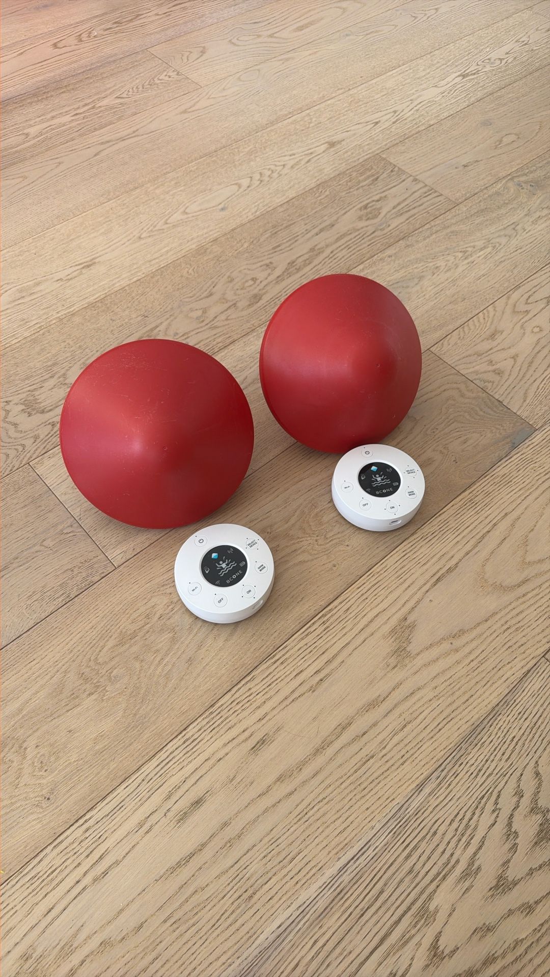 Lifebuoy Bcone Floating Pool Alarm X2