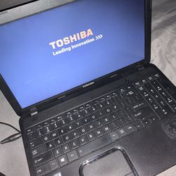 Toshiba Satellite Laptop+ Laptop Case