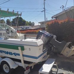 Johnson Outboard 225 (Motor)