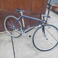 Fuji Single Speed 