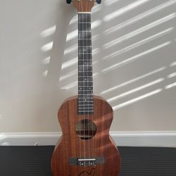 Ukulele 