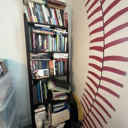 Ladder Bookcase 