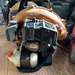 Echo Echo blower 580 