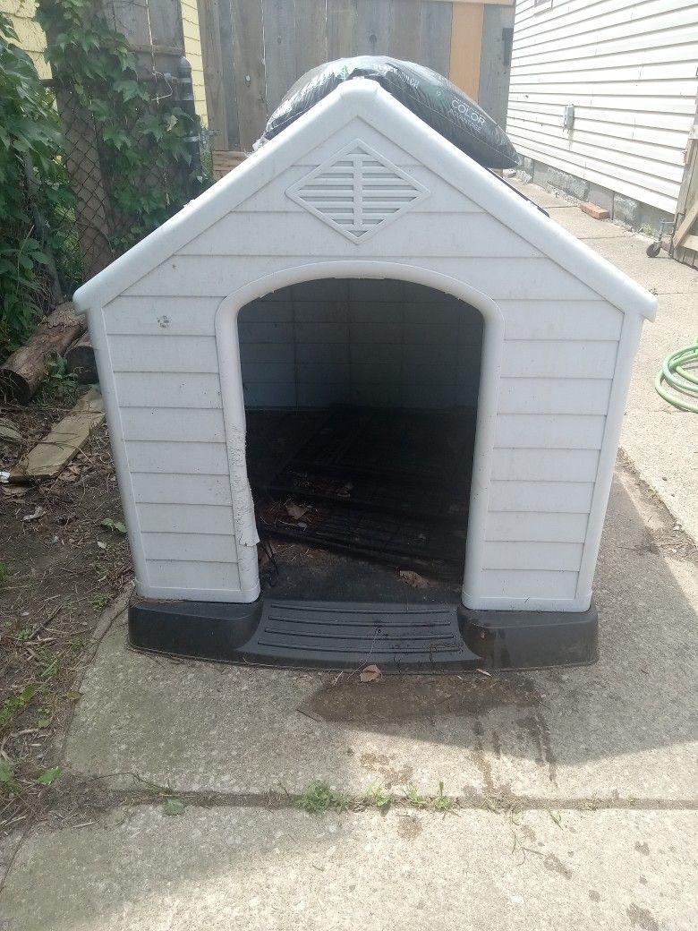Dog House