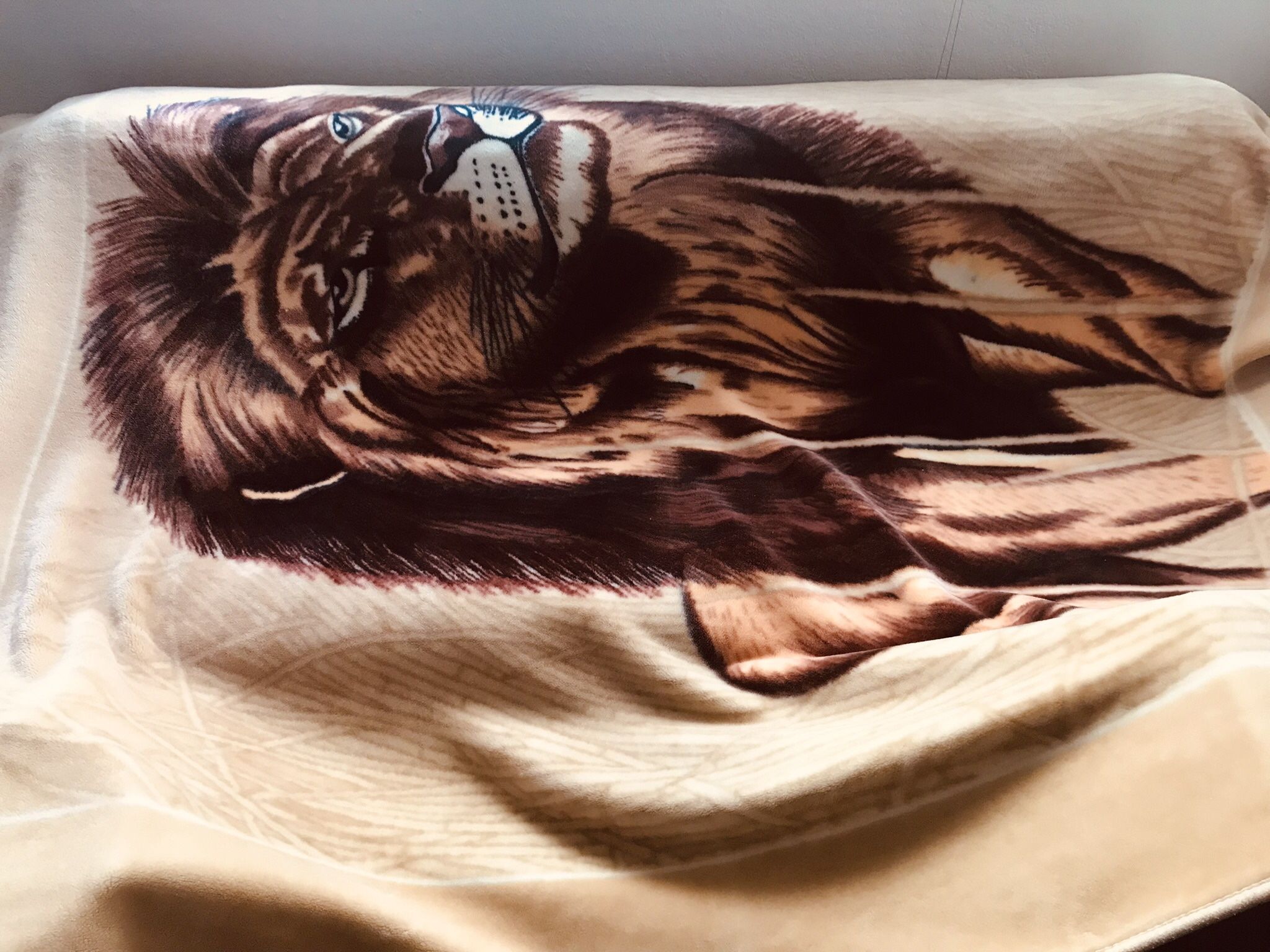 Blanket