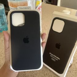 iPhone 12 Pro Max case 