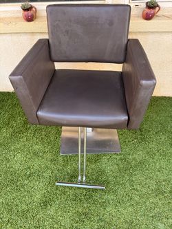 Salon Chairs