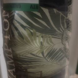 Indoor Or Outdoor Area Rug 8‘ X 10‘ Green Palms