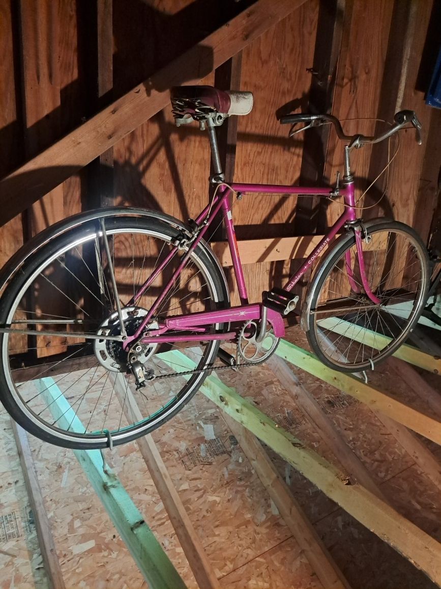 VINTAGE SCHWINN BICYLCE COLLEGIATE