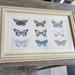 Framed Wall Art 