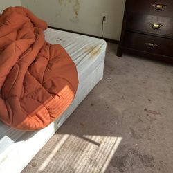 Extra Large Bed Sheet 