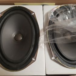 Hybrid Technologies MIRUS Convertible 6x9 Speakers (MV69 NEW)