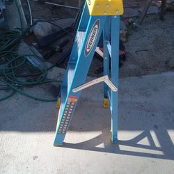 Werner 4 Foot Ladder