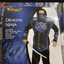Dragon Ninja Costume