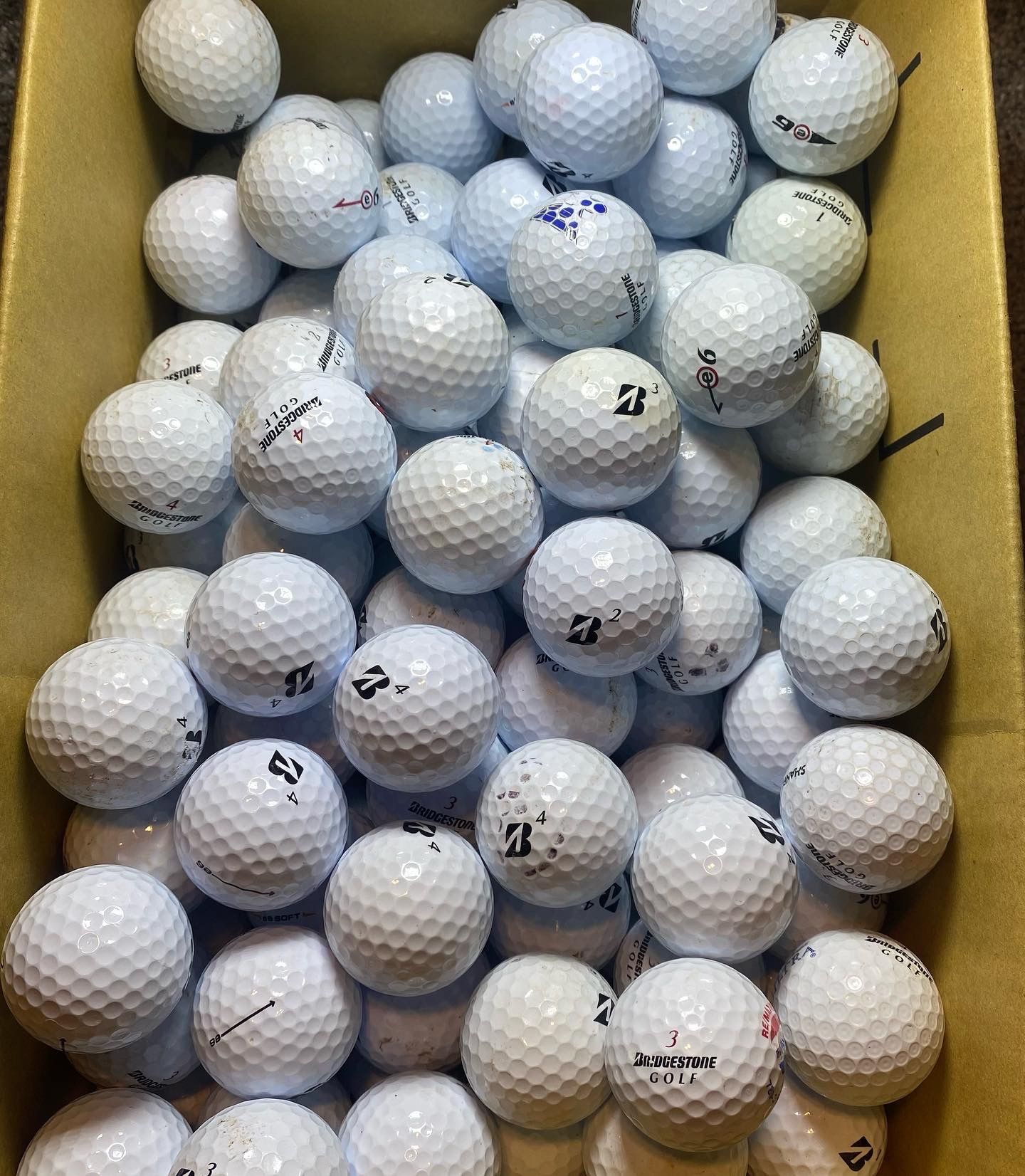 2 Dozen Bridgestone E6
