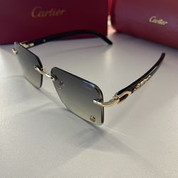 Brand New Cartier Glasses / read descriptions