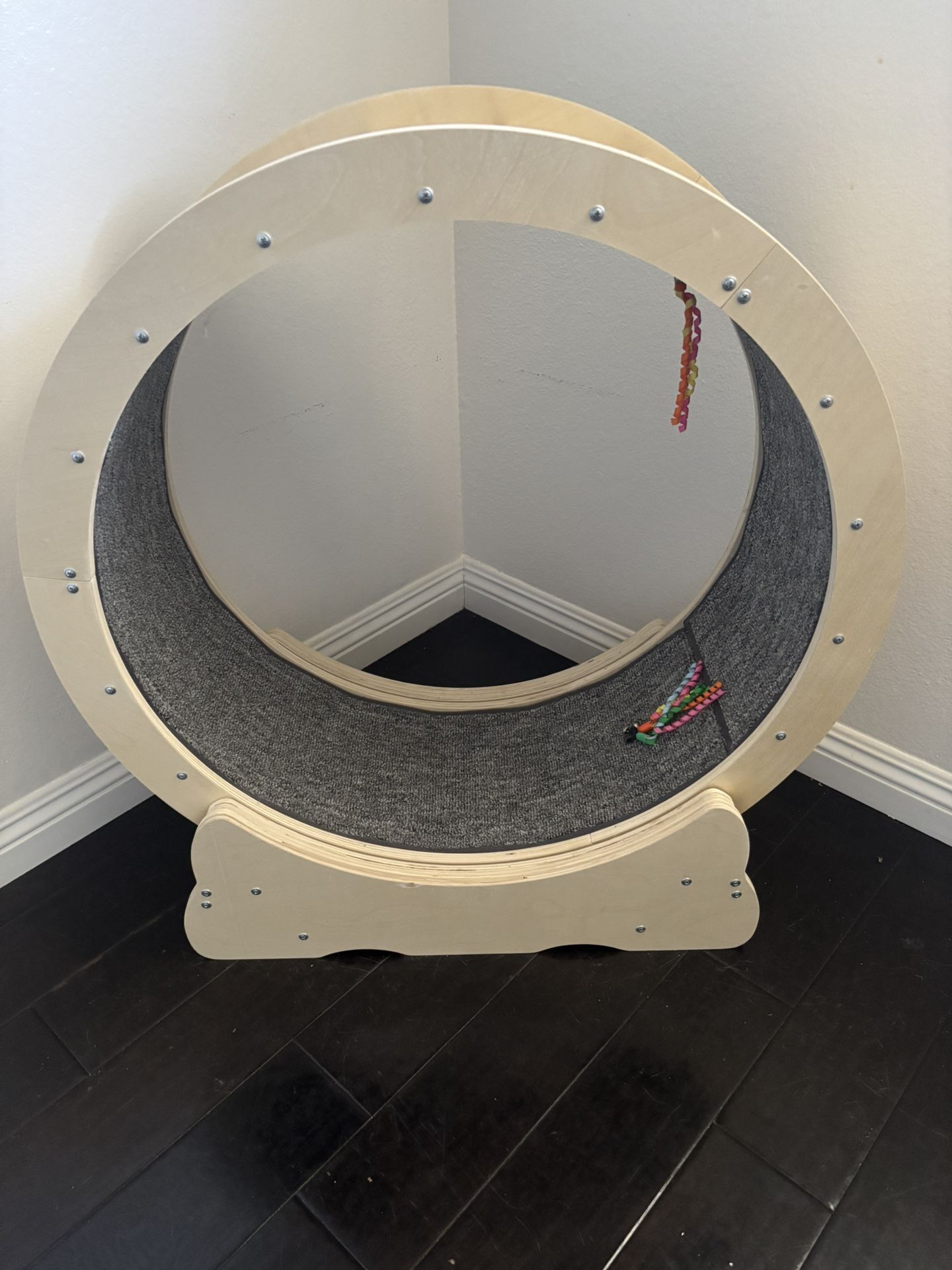 Cat Wheel