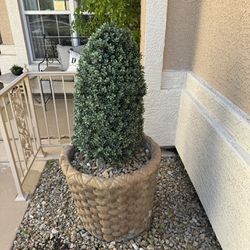 Concrete Pots With Faux Topiary (2)