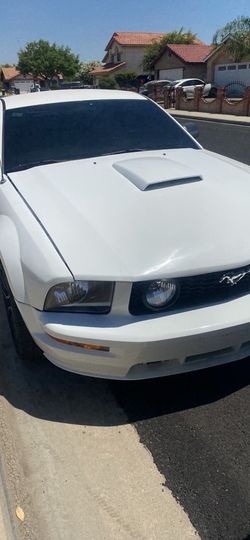 2008 Ford Mustang