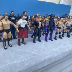 WWE Legends Action Figure Lot : 16 Action Figures 