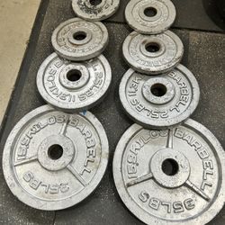 Olympic Weights 35s 25s 10s And 5s $140 For All 