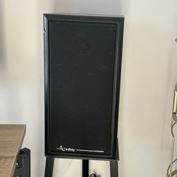 Infinity RS 325 Bookshelf Speakers X2 - Vintage 90s High-Fidelity