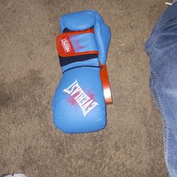 Everlast Prospect Youth Boxing Gloves