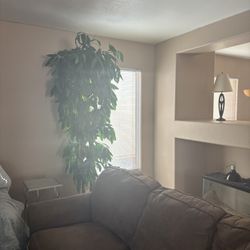 Brown Couch Set