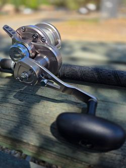Daiwa Saltiga LD20- 2 speed + Phenix Black Diamond psw-c 809h 8' rod
