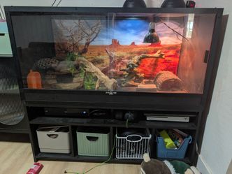 Reptile Tank and Stand