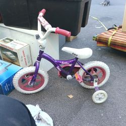 Girl Bike With Training Wheels 