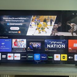 65” LG 4K Smart TV – Great Condition – $300 OBO