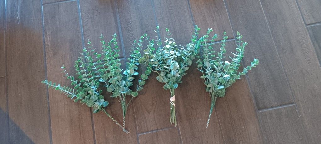 Eucalyptus Stems 