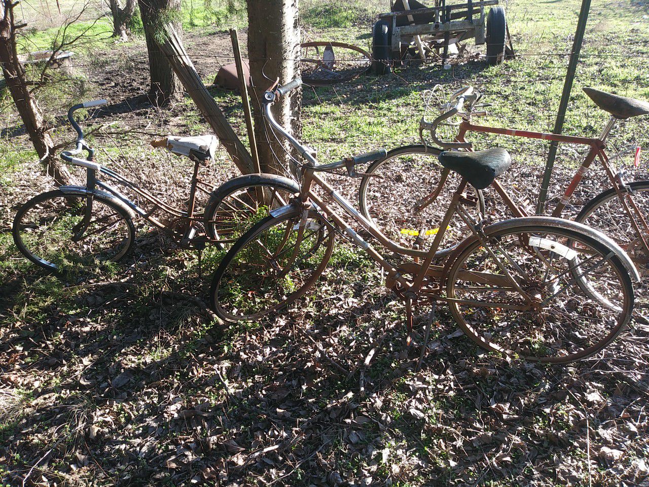 2 Vintage Bicycles