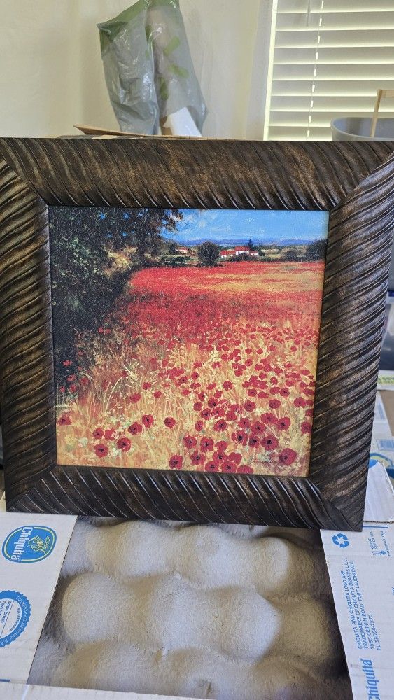 Red Poppy Picture