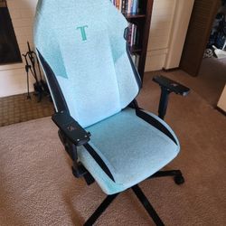 Secretlab TITAN Evo Gaming Chair (Mint Green - XL)