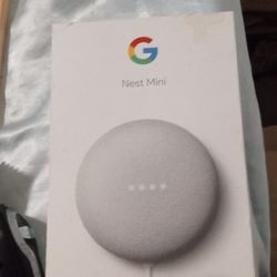 Nest Mini