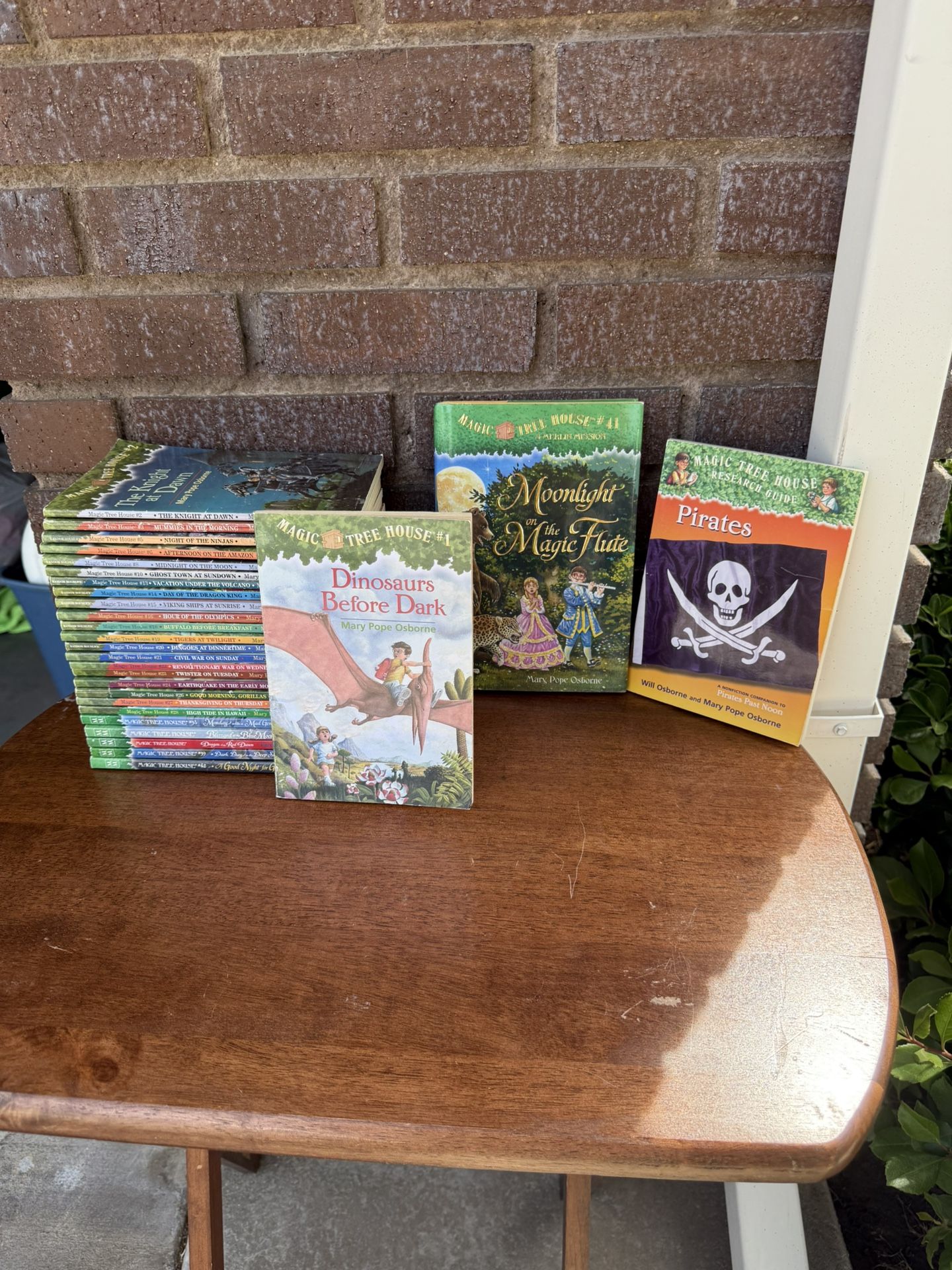 Magic Treehouse Books