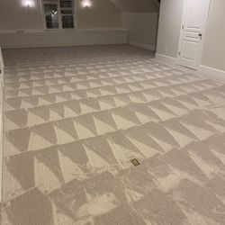 carpet and lvp
